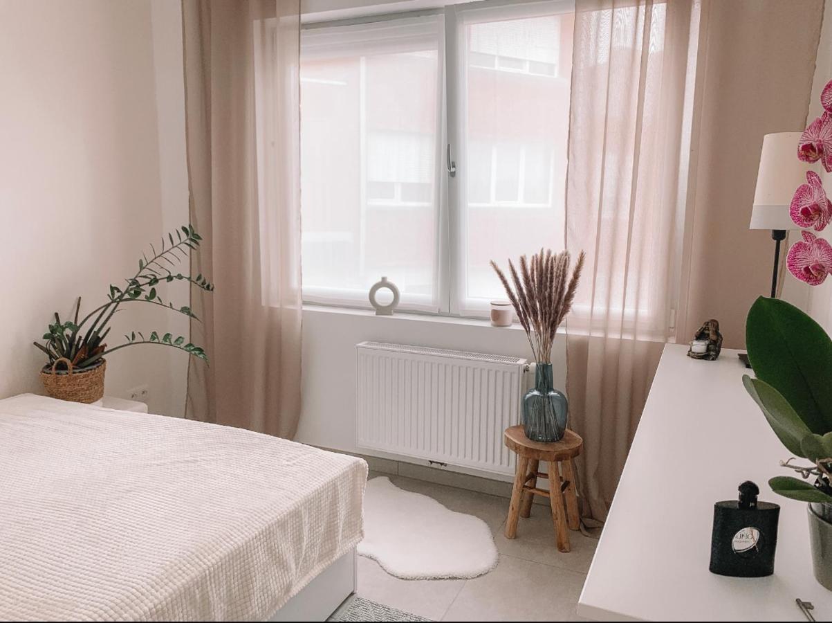 Apartmán Vintage Dream Zwijndrecht Exteriér fotografie