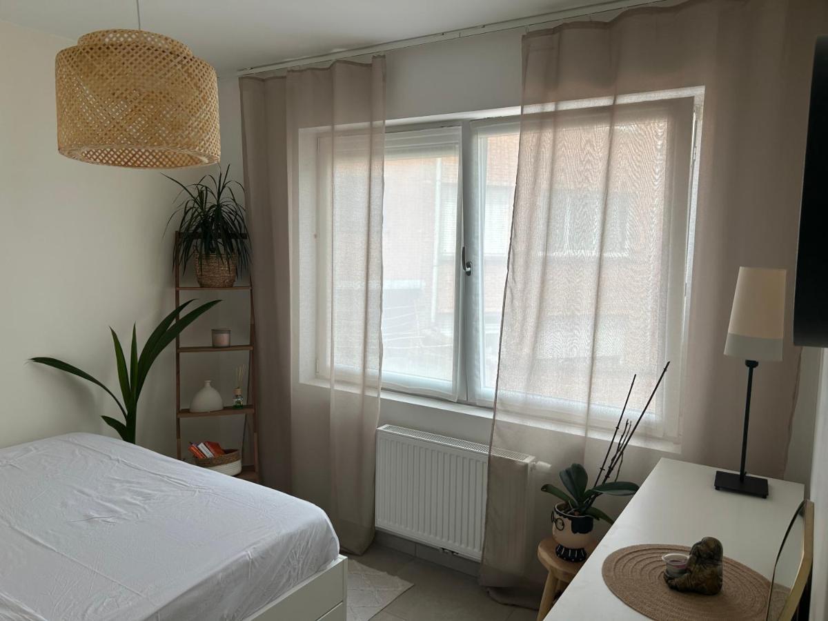 Apartmán Vintage Dream Zwijndrecht Exteriér fotografie